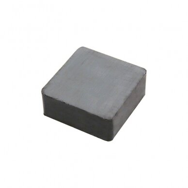 40x40x10 F30 Bloko formos magnetas