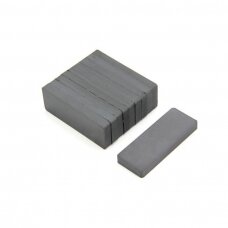 50x15x6 F30 Bloko formos magnetas